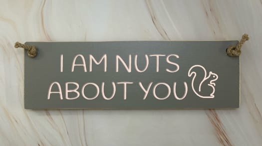 I AM NUTS ABOUT YOU - 30cm Rustic Wooden Sign 7 I AM NUTS ABOUT YOU - 30cm Rustic Wooden Sign - Image 7
