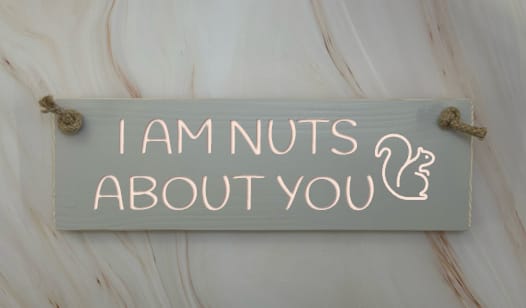 I AM NUTS ABOUT YOU - 30cm Rustic Wooden Sign 5 I AM NUTS ABOUT YOU - 30cm Rustic Wooden Sign - Image 5