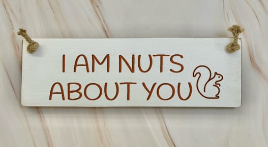 I AM NUTS ABOUT YOU – 30cm Rustic Wooden Sign
