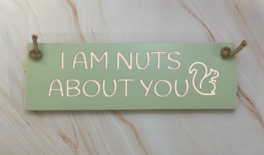 I AM NUTS ABOUT YOU - 30cm Rustic Wooden Sign 6 I AM NUTS ABOUT YOU - 30cm Rustic Wooden Sign - Image 6