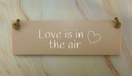 Love is in the air - 30cm Rustic Wooden Sign 5 Love is in the air - 30cm Rustic Wooden Sign - Image 5