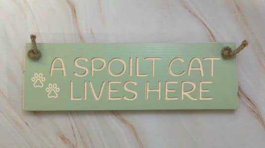 A spoilt cat lives here - 30cm Rustic Wooden Sign 4 A spoilt cat lives here apple