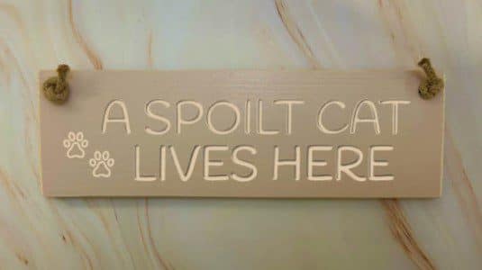 A spoilt cat lives here - 30cm Rustic Wooden Sign 6 A spoilt cat lives here potted
