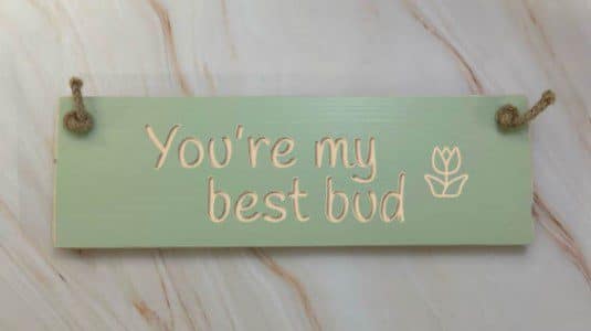You’re my best bud - 30cm Rustic Wooden Sign 3 You’re my best bud apple