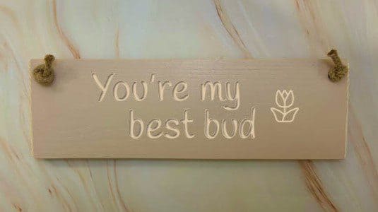 You’re my best bud - 30cm Rustic Wooden Sign 4 You’re my best bud potted shirmp