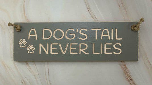 A Dog’s Tail Never Lies Elephant