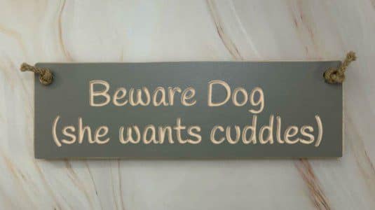Beware Dog (she wants cuddles) - 30cm Rustic Wooden Sign 5 Beware Dog (she wants cuddles) - 30cm Rustic Wooden Sign - Image 5