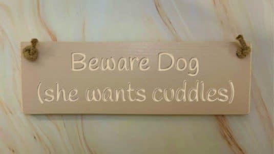 Beware Dog (she Wants Cuddles) – 30cm Rustic Wooden Sign