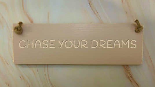 Chase your dreams - 30cm Rustic Wooden Sign 5 Chase your dreams potted shirmp