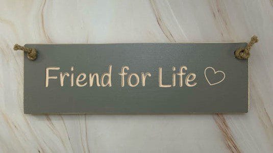 Friend For Life