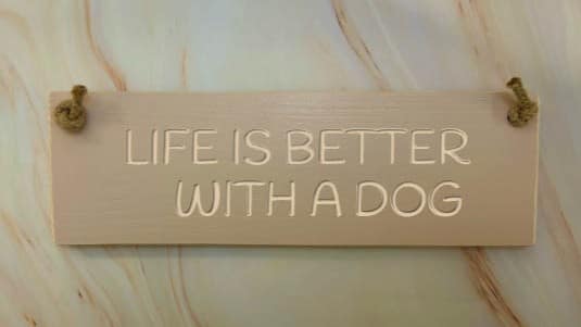 Life is better with a dog - 30cm Rustic Wooden Sign 3 Life is better with a dog potted shirm
