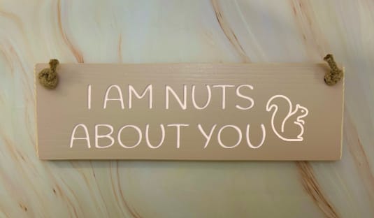 I AM NUTS ABOUT YOU - 30cm Rustic Wooden Sign 4 I AM NUTS ABOUT YOU - 30cm Rustic Wooden Sign - Image 4