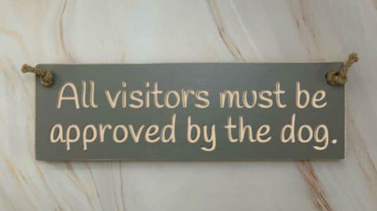All Visitors Must Be Approved By The Dog – 30cm Rustic Wooden Sign