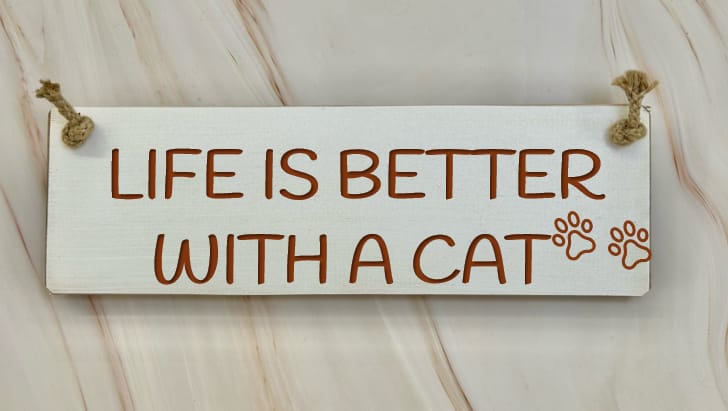 Crazy Cat Lady Lives Here - 30cm Rustic Wooden Sign 6 Crazy Cat Lady Lives Here - 30cm Rustic Wooden Sign - Image 6