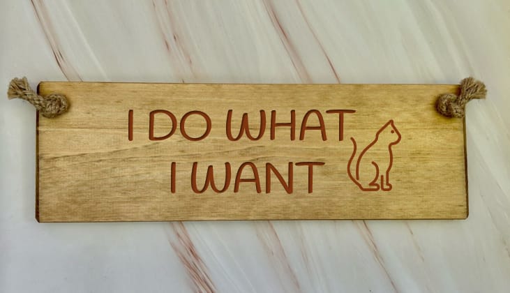 I DO WHAT I WANT - 30cm Rustic Wooden Sign 2 I DO WHAT I WANT - 30cm Rustic Wooden Sign - Image 2