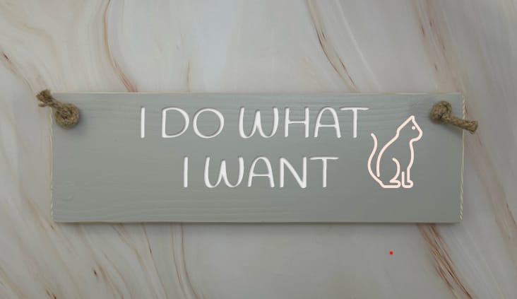 I DO WHAT I WANT - 30cm Rustic Wooden Sign 5 I DO WHAT I WANT - 30cm Rustic Wooden Sign - Image 5
