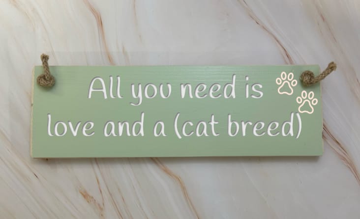 All you need is love & an Abyssinian - 30cm Rustic Wooden Sign 3 All you need is love & an Abyssinian - 30cm Rustic Wooden Sign - Image 3