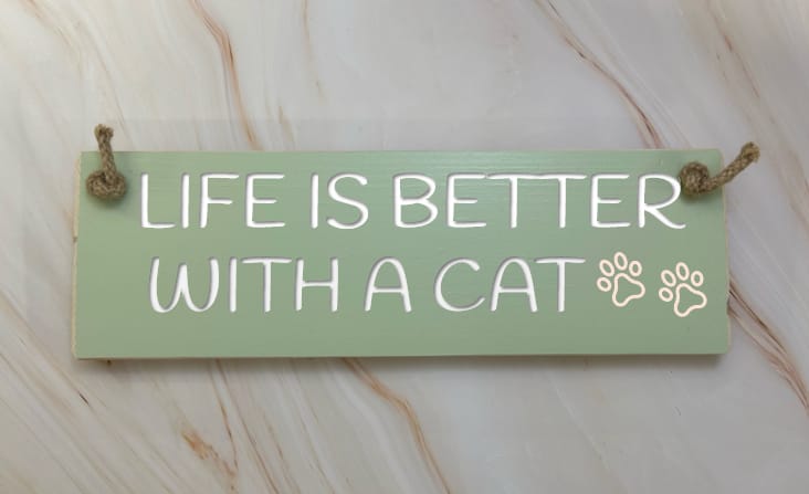 Crazy Cat Lady Lives Here - 30cm Rustic Wooden Sign 3 Crazy Cat Lady Lives Here - 30cm Rustic Wooden Sign - Image 3