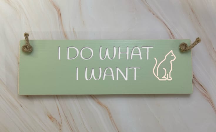 I DO WHAT I WANT - 30cm Rustic Wooden Sign 4 I DO WHAT I WANT - 30cm Rustic Wooden Sign - Image 4