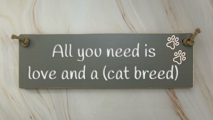 All you need is love & an Abyssinian - 30cm Rustic Wooden Sign 2 All you need is love & an Abyssinian - 30cm Rustic Wooden Sign - Image 2