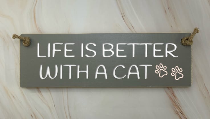Crazy Cat Lady Lives Here - 30cm Rustic Wooden Sign 2 Crazy Cat Lady Lives Here - 30cm Rustic Wooden Sign - Image 2