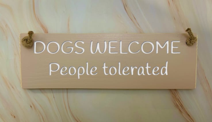Dogs welcome, people tolerated - 30cm Rustic Wooden Sign 5 Dogs welcome, people tolerated - 30cm Rustic Wooden Sign - Image 5