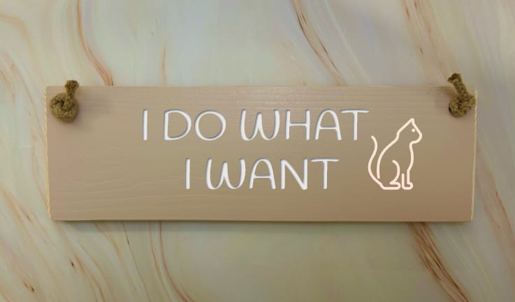 I DO WHAT I WANT - 30cm Rustic Wooden Sign 6 I DO WHAT I WANT - 30cm Rustic Wooden Sign - Image 6
