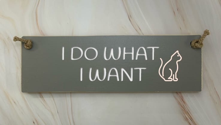I DO WHAT I WANT - 30cm Rustic Wooden Sign 3 I DO WHAT I WANT - 30cm Rustic Wooden Sign - Image 3