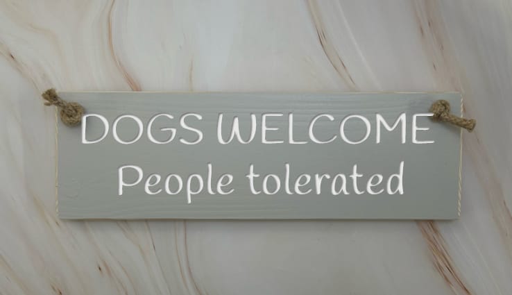 Dogs welcome, people tolerated - 30cm Rustic Wooden Sign 4 Dogs welcome, people tolerated - 30cm Rustic Wooden Sign - Image 4