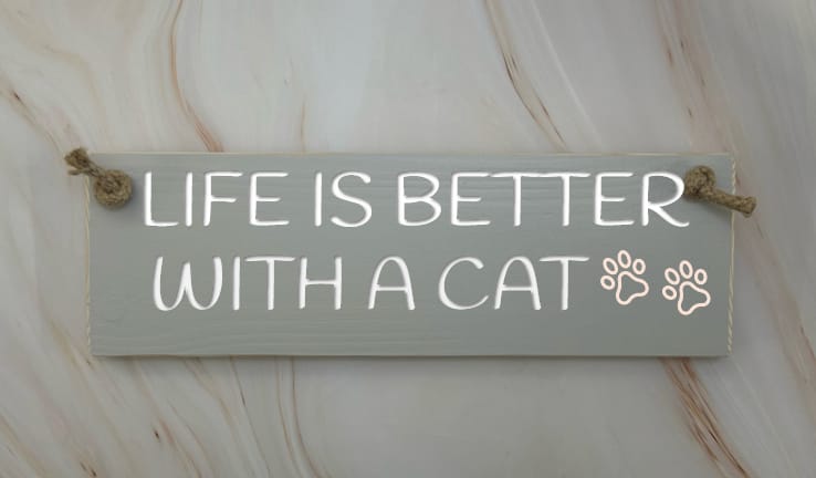 Crazy Cat Lady Lives Here - 30cm Rustic Wooden Sign 4 Crazy Cat Lady Lives Here - 30cm Rustic Wooden Sign - Image 4