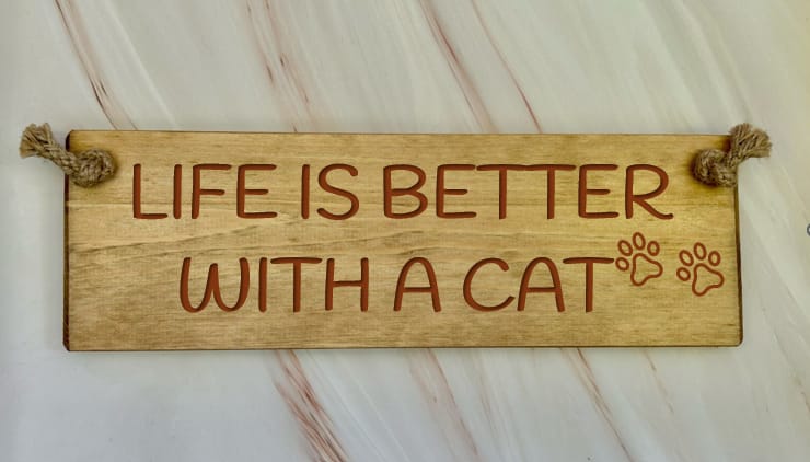 Crazy Cat Lady Lives Here - 30cm Rustic Wooden Sign 1 Crazy Cat Lady Lives Here - 30cm Rustic Wooden Sign