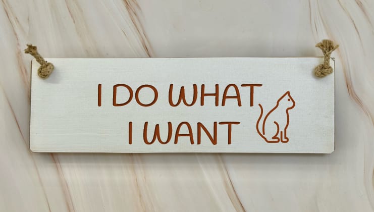 I DO WHAT I WANT - 30cm Rustic Wooden Sign 7 I DO WHAT I WANT - 30cm Rustic Wooden Sign - Image 7