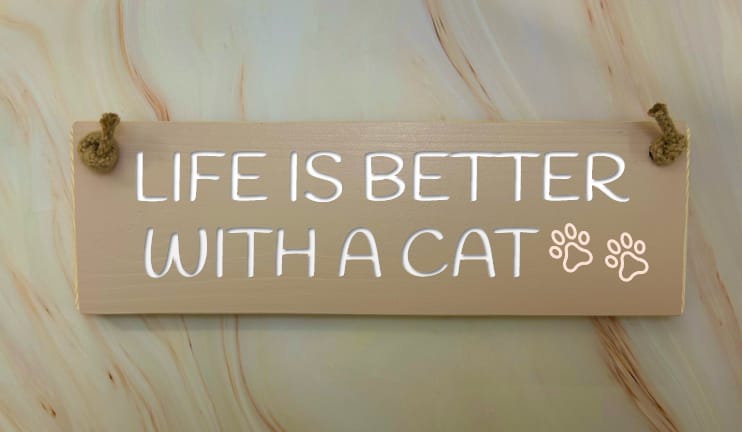 Crazy Cat Lady Lives Here - 30cm Rustic Wooden Sign 5 Crazy Cat Lady Lives Here - 30cm Rustic Wooden Sign - Image 5