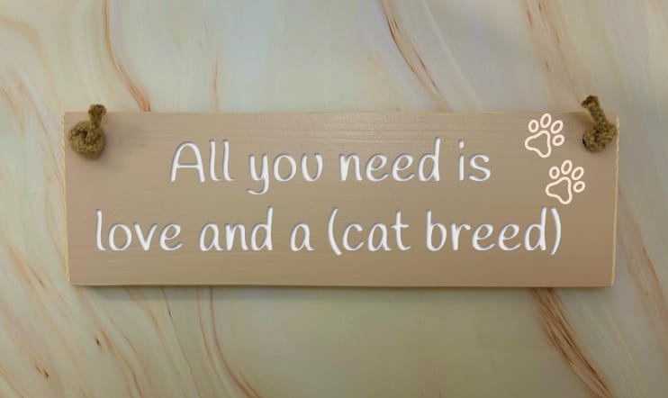 All you need is love & an Abyssinian - 30cm Rustic Wooden Sign 5 All you need is love & an Abyssinian - 30cm Rustic Wooden Sign - Image 5