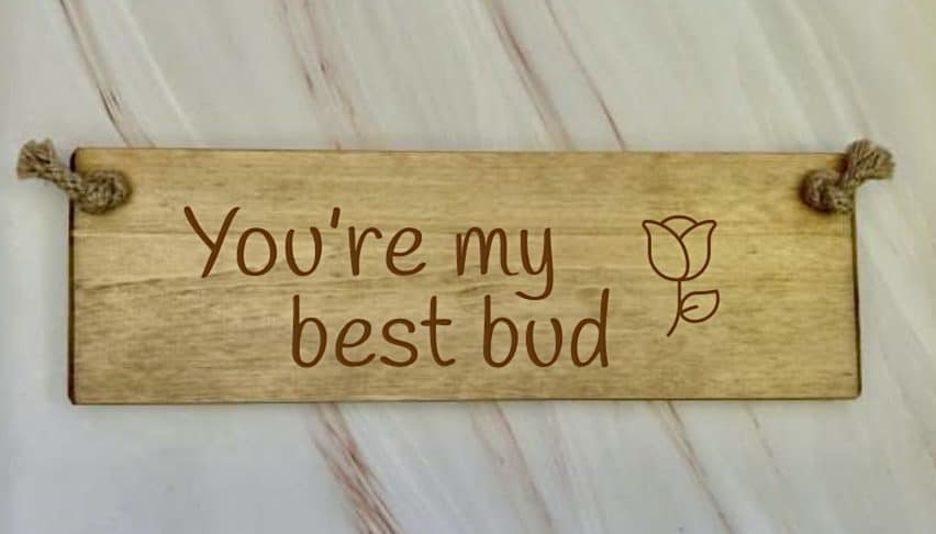 You’re my best bud - 30cm Rustic Wooden Sign 6 You’re my best bud wooden