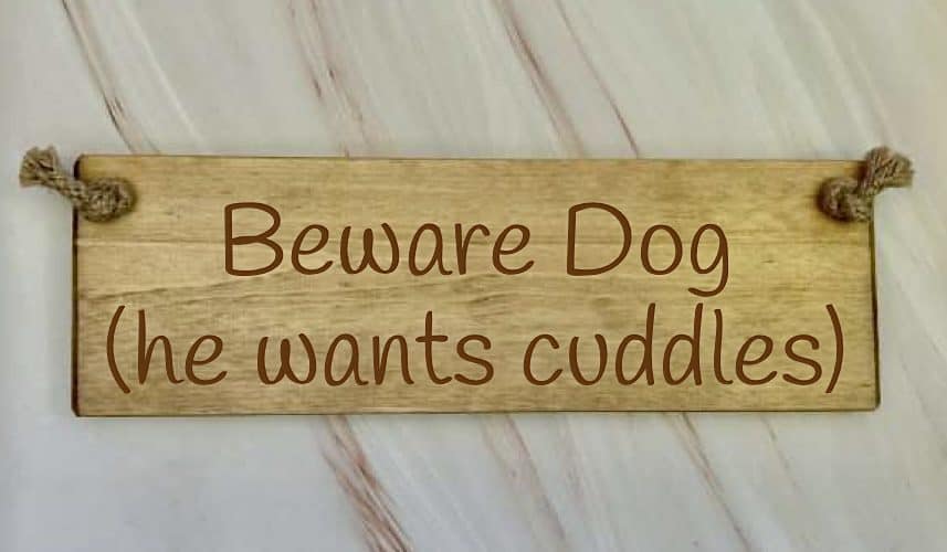 Beware-Dog-he-wants-cuddle Wooden