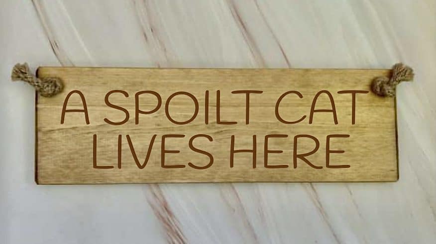 A Spoilt Cat Lives Here – 30cm Rustic Wooden Sign